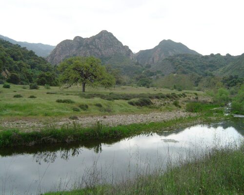 Hike and Enjoy Nature at Malibu Creek State Park, Calabasas, CA