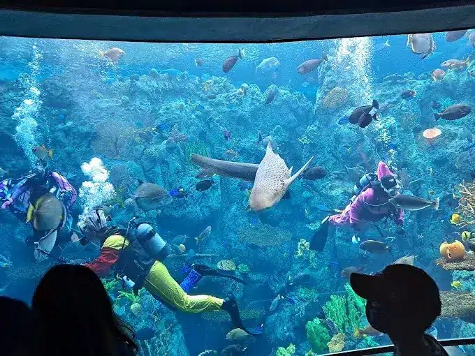 Aquarium,Tourist attraction