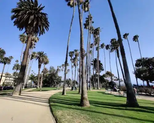 Exploring the Beauty and History of Palisades Park in Santa Monica, CA: A Coastal Gem