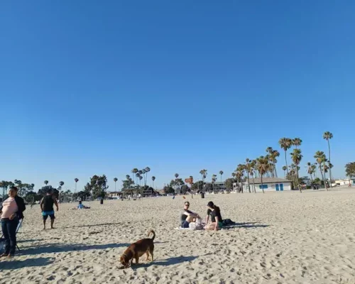 Paws and Relax: A Guide to Rosie’s Dog Beach in Long Beach, CA