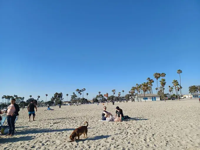 Dog park