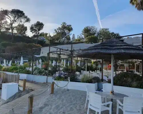 Seaside Dining Bliss: A Culinary Adventure at Paradise Cove Beach Café in Malibu, CA