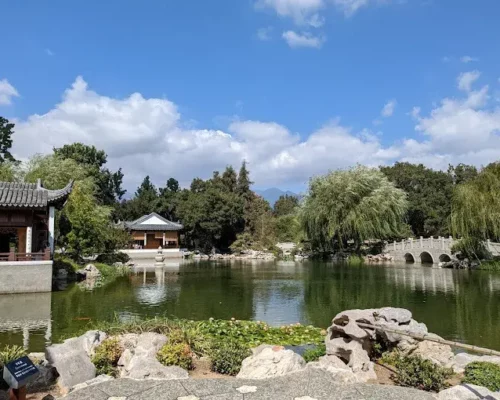 A Cultural Oasis: Discovering The Huntington Library, Art Museum, and Botanical Gardens in Pasadena, CA