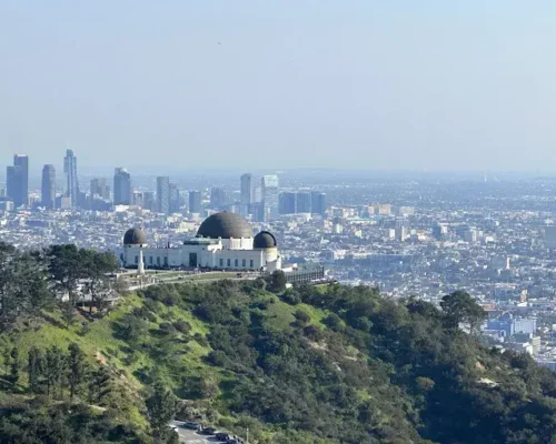 Nature Meets Urban: The Wonders of Griffith Park Near Burbank, CA