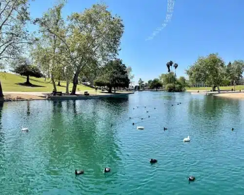 The Heart of the Community: Enjoying the Outdoors at La Mirada Community Regional Park in California