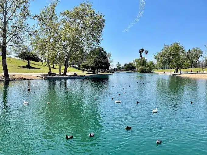 Park,Tourist attraction,Community park