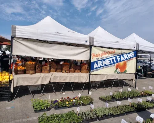 Fresh Finds and Local Delights: The Charm of Torrance Certified Farmers’ Market in California