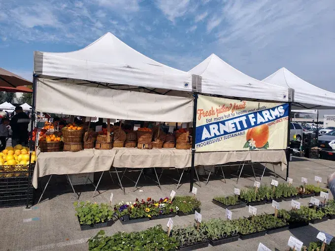 Farmers' market