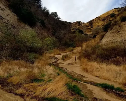 Hiking and Nature at Towsley Canyon Park in Santa Clarita, CA