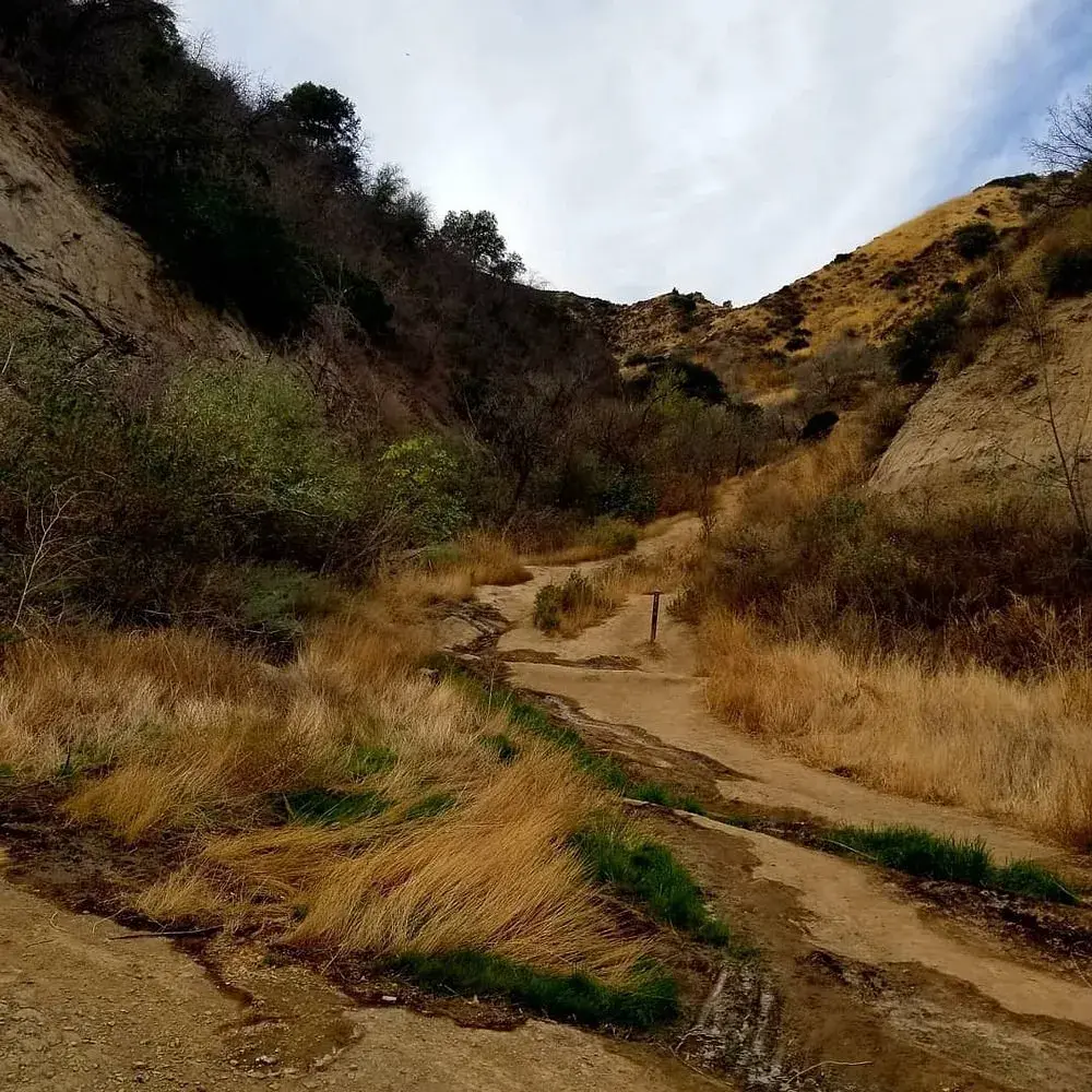 Towsley Canyon Park