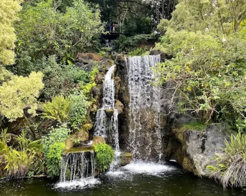 Discovering Nature's Wonders at the Los Angeles County Arboretum in Arcadia, CA