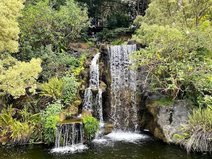 Los Angeles County Arboretum in Arcadia, CA