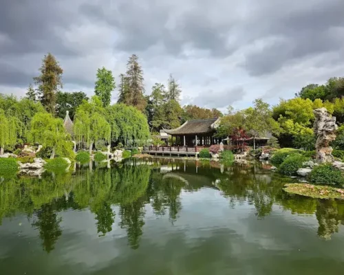 A Cultural Journey: The Huntington Library, Art Museum, and Botanical Gardens Near Alhambra, CA