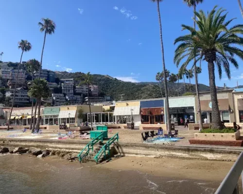 Your Gateway to Adventure: Catalina Island Visitor Center in Avalon, CA