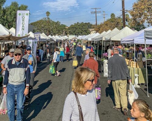 Discover Fresh Finds at Brentwood Farmers’ Market, California